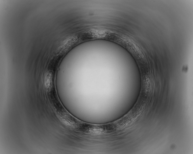 X0000100770598200806261545