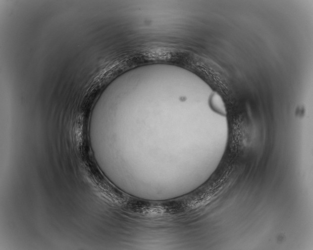X0000100770600200806261545