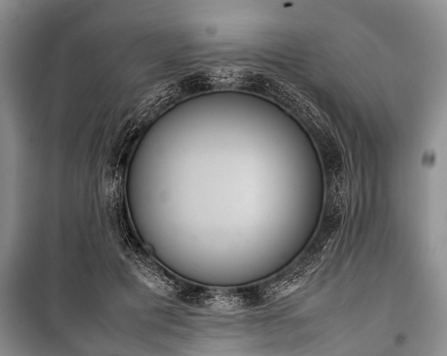 X0000100770601200806261545