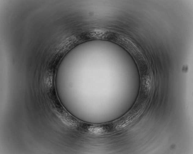 X0000100770602200806261545