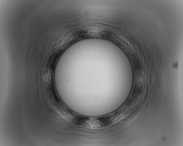 X0000100770603200806261545