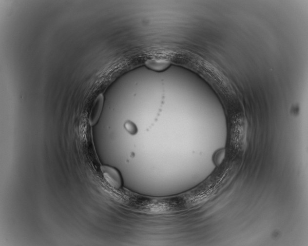X0000100770604200806261545