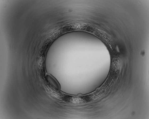 X0000100770605200806261545