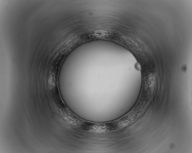 X0000100770606200806261545