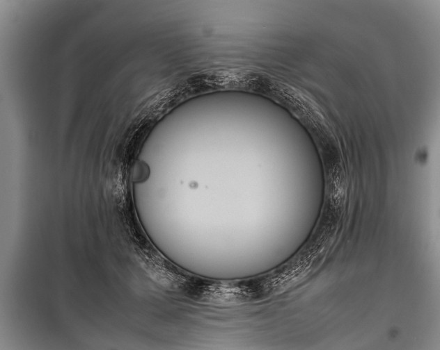 X0000100770607200806261545