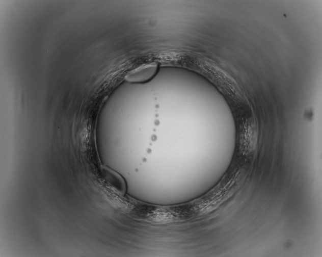 X0000100770608200806261545