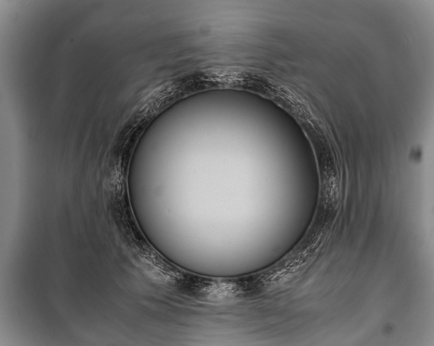 X0000100770609200806261545