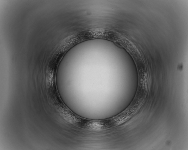 X0000100770610200806261545