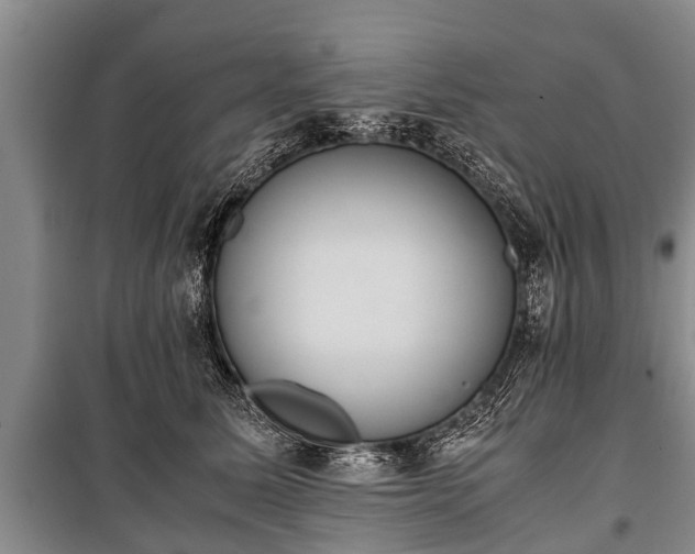 X0000100770611200806261545