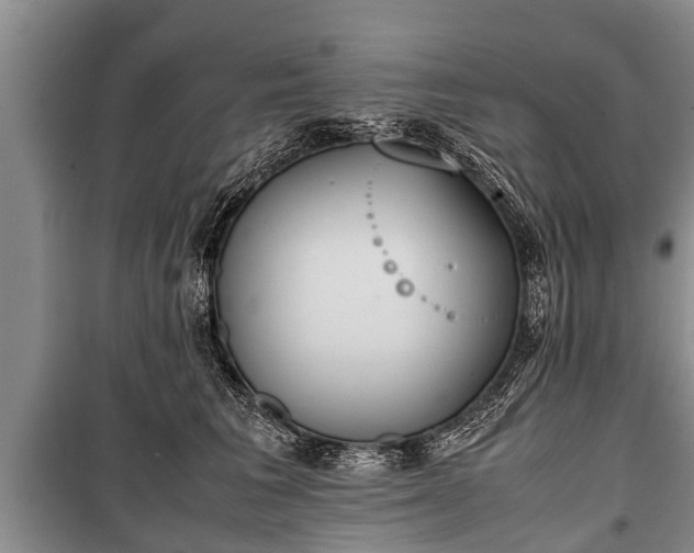 X0000100770613200806261545