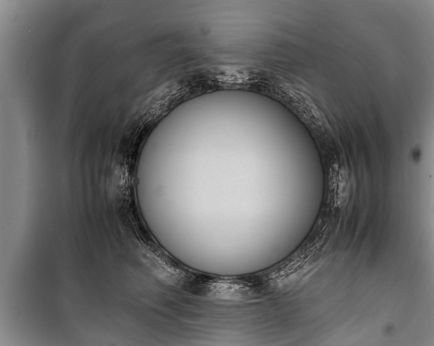 X0000100770614200806261545