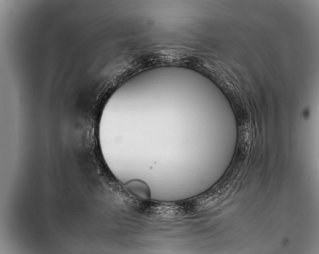 X0000100770615200806261545