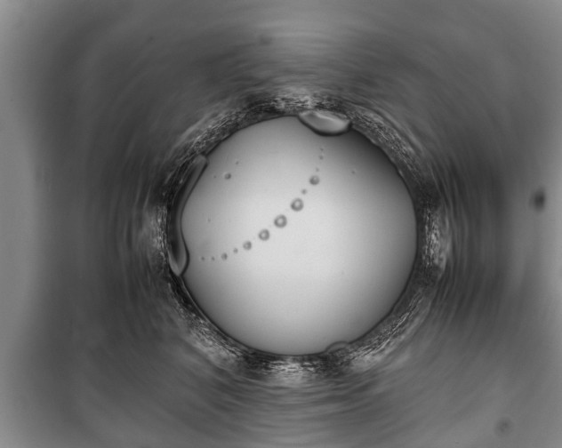 X0000100770616200806261545