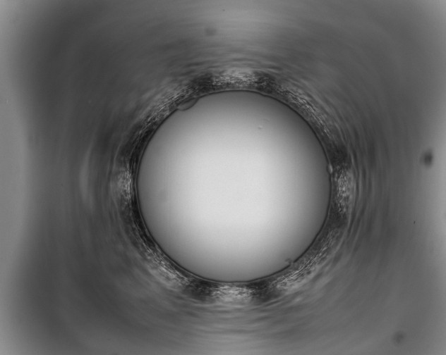X0000100770617200806261545