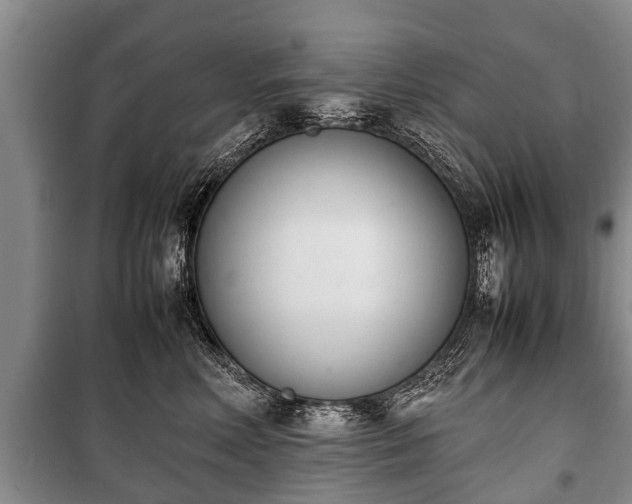 X0000100770618200806261545