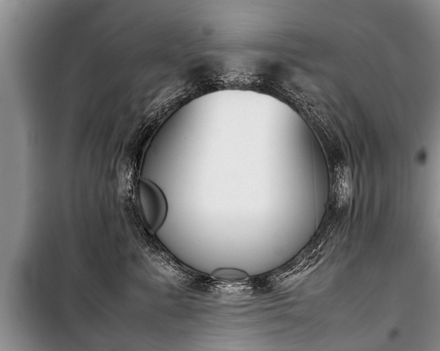 X0000100770619200806261545