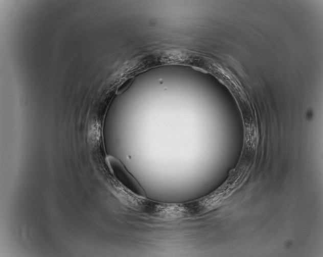 X0000100770621200806261545