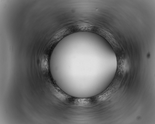 X0000100770622200806261545