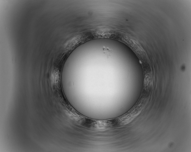 X0000100770623200806261545