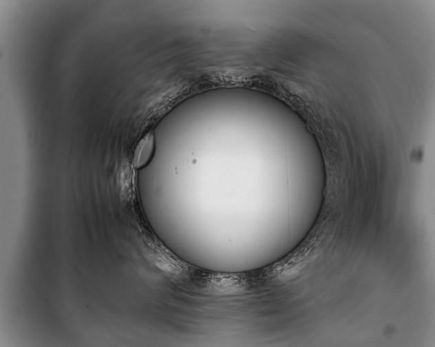 X0000100770624200806261545