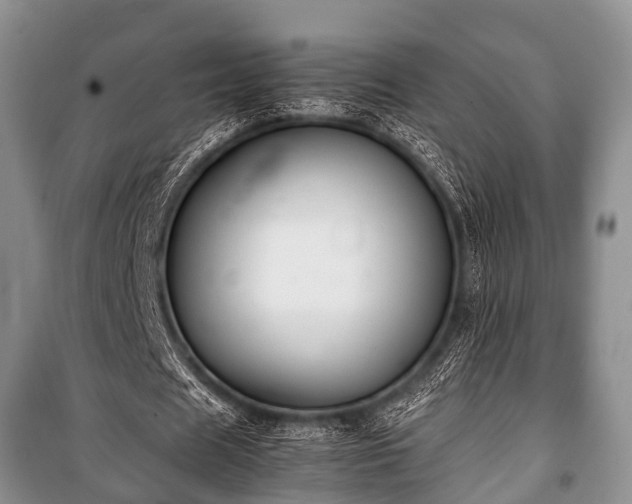 X0000100770625200806261544
