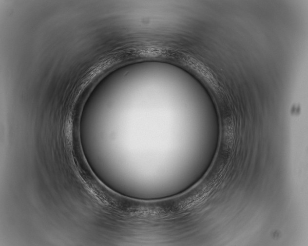 X0000100770626200806261544