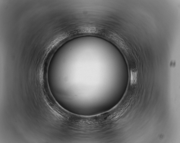 X0000100770627200806261544