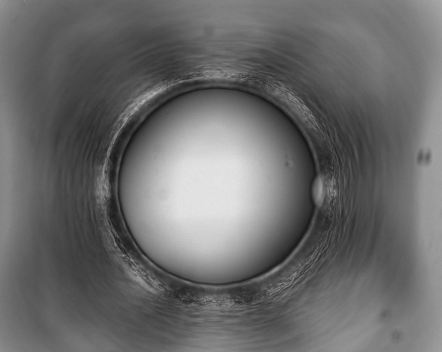 X0000100770628200806261544