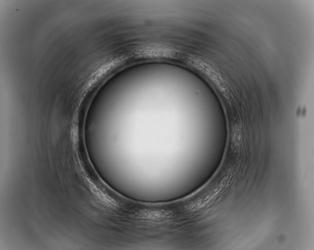 X0000100770629200806261544