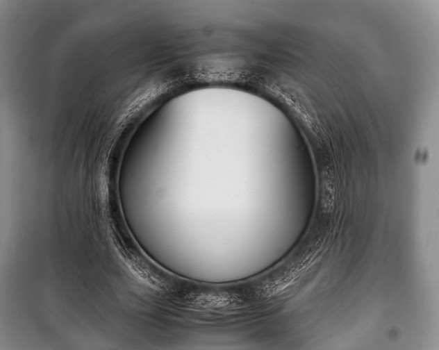 X0000100770631200806261544