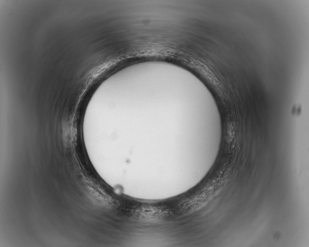 X0000100770632200806261544