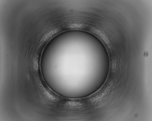X0000100770633200806261544