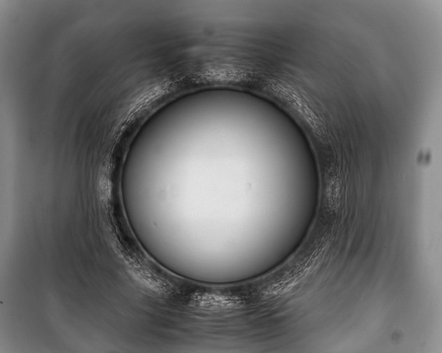 X0000100770635200806261544