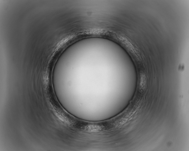 X0000100770636200806261544