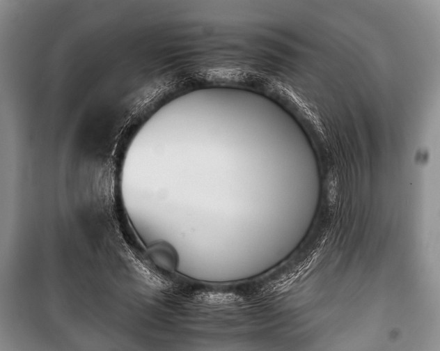 X0000100770637200806261544