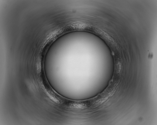 X0000100770638200806261544