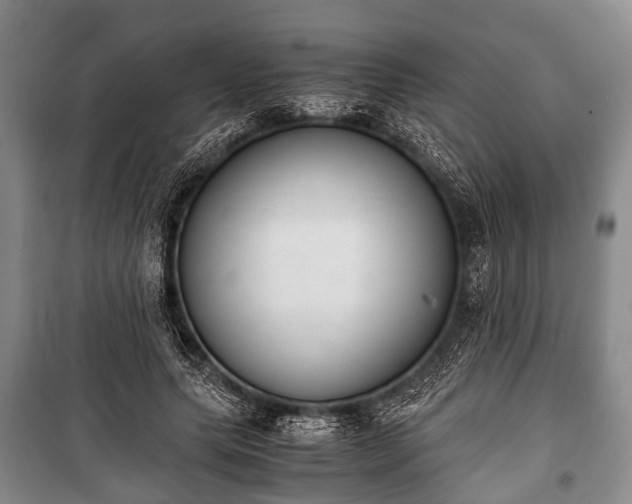 X0000100770639200806261544