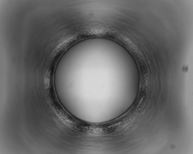 X0000100770640200806261544
