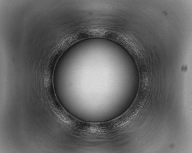 X0000100770641200806261544