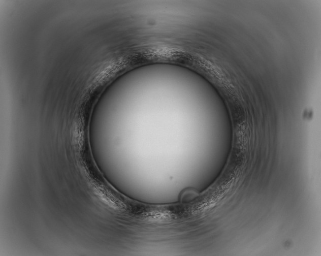 X0000100770642200806261544