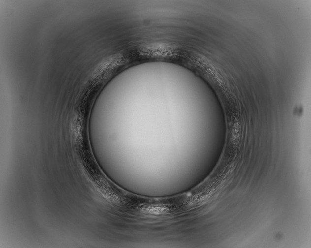 X0000100770643200806261544