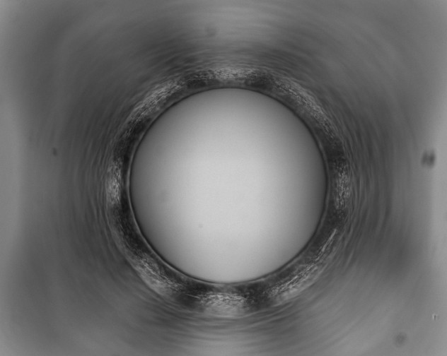 X0000100770644200806261544