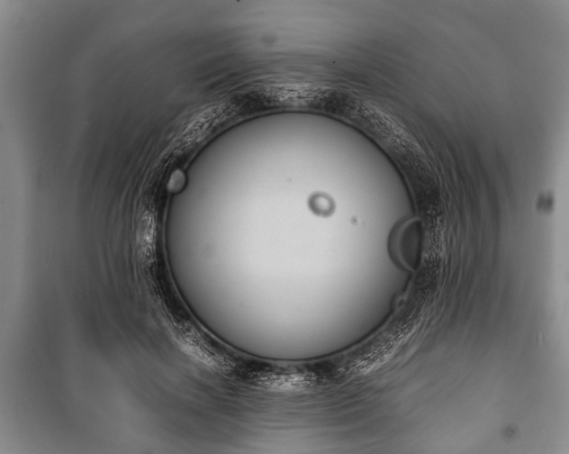 X0000100770646200806261544