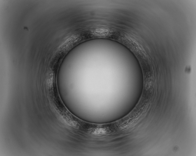 X0000100770647200806261544