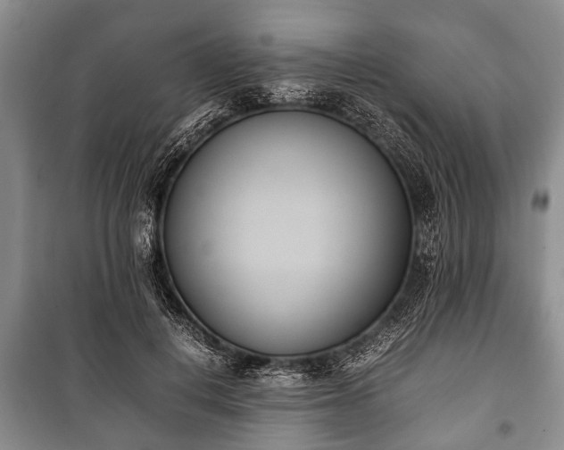 X0000100770648200806261544