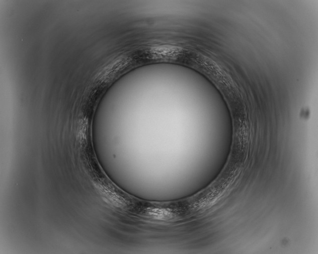 X0000100770649200806261544
