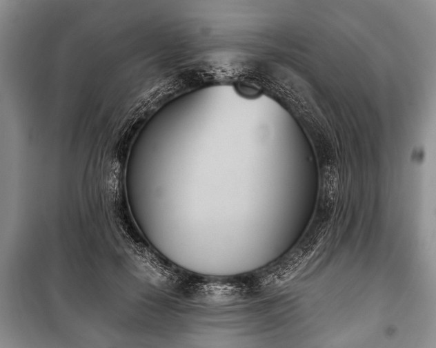 X0000100770650200806261544