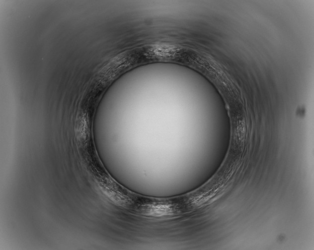 X0000100770651200806261544