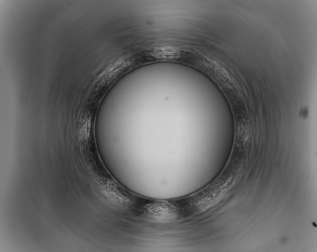 X0000100770652200806261544
