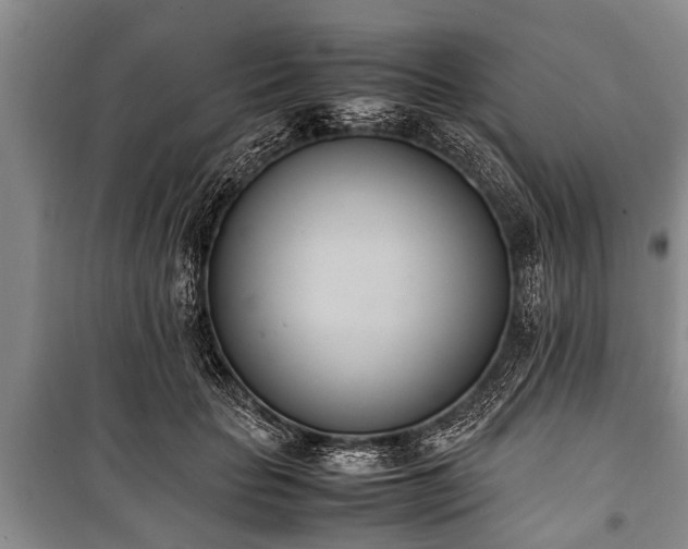 X0000100770653200806261544